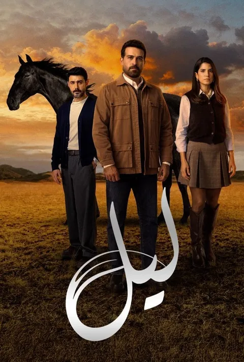 ملصق ليل