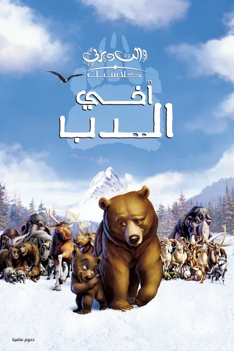 ملصق أخي الدب