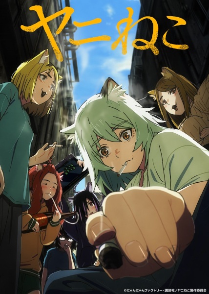 ملصق Yani Neko
