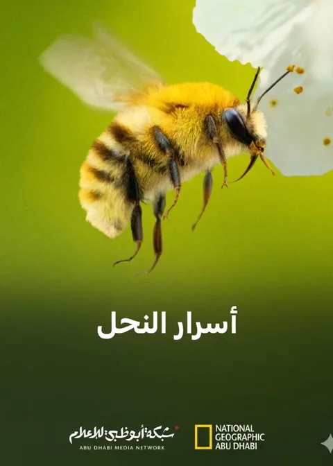 ملصق أسرار