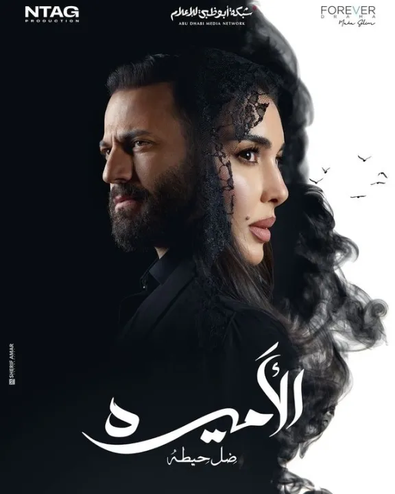 ملصق الأميرة: ضل حيطة