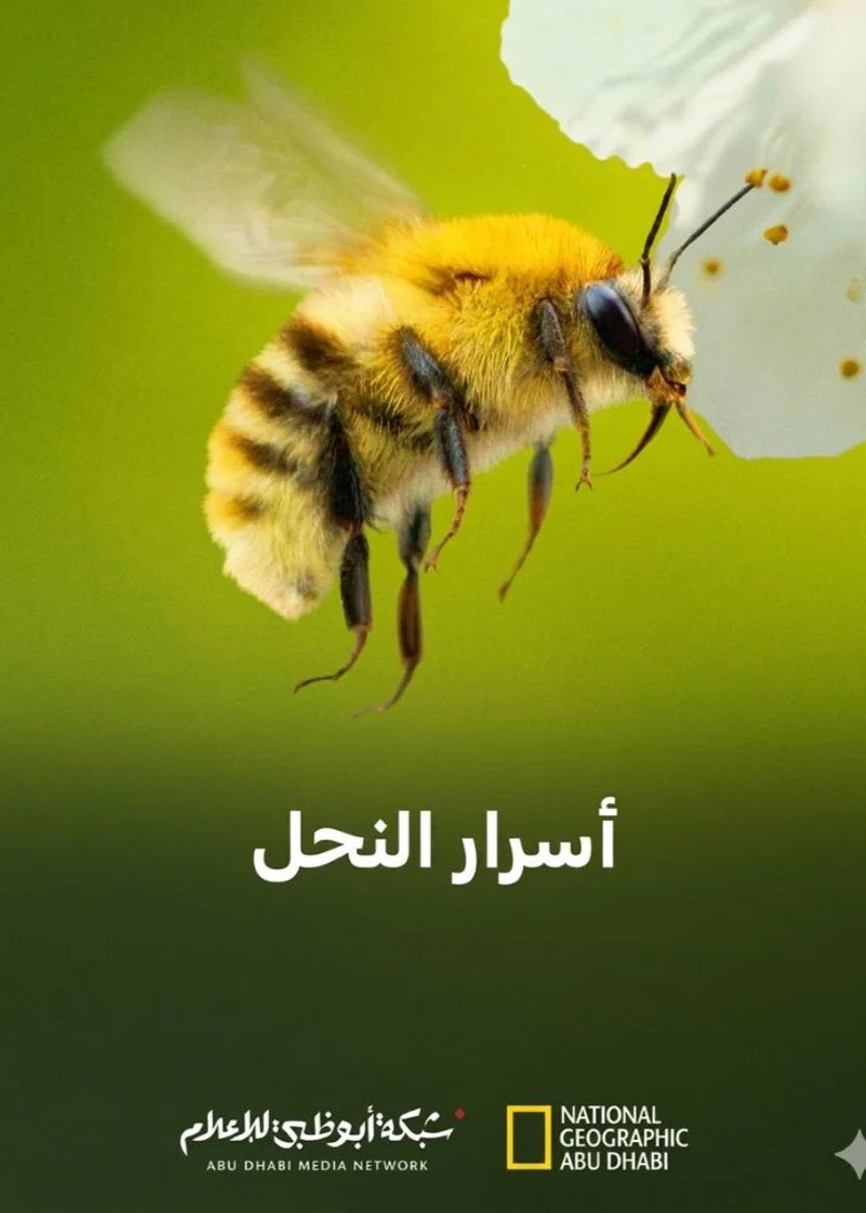 ملصق أسرار
