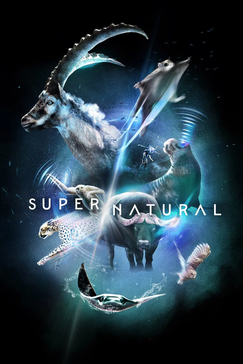ملصق Supernatural